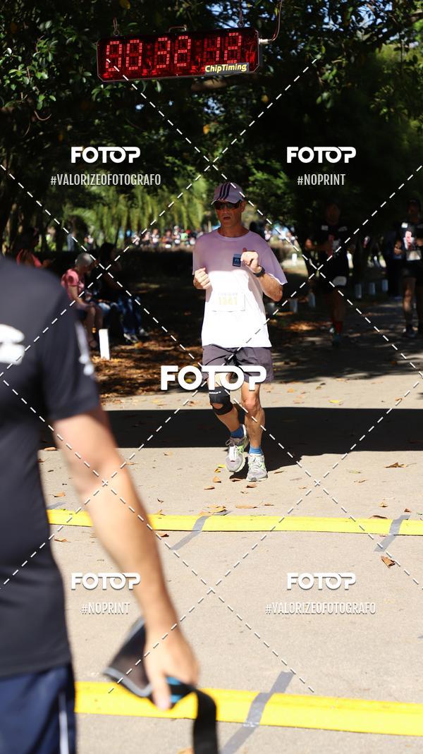 Compra tus fotos del eventoPIT BULL RUNNING En Fotop