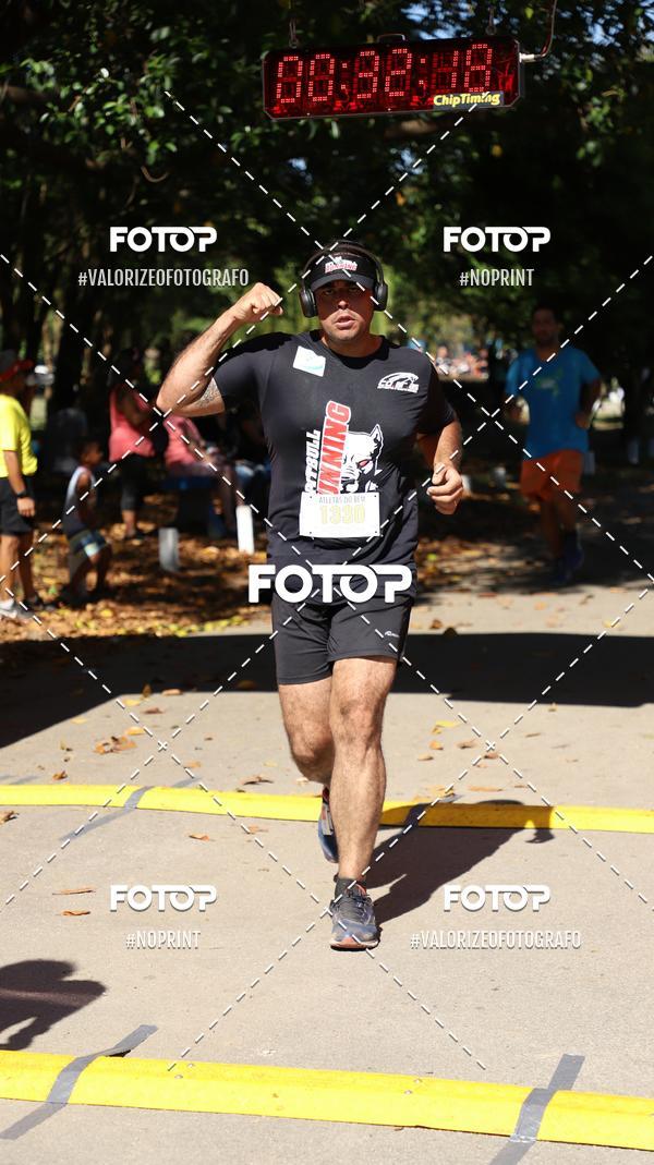 Compra tus fotos del eventoPIT BULL RUNNING En Fotop