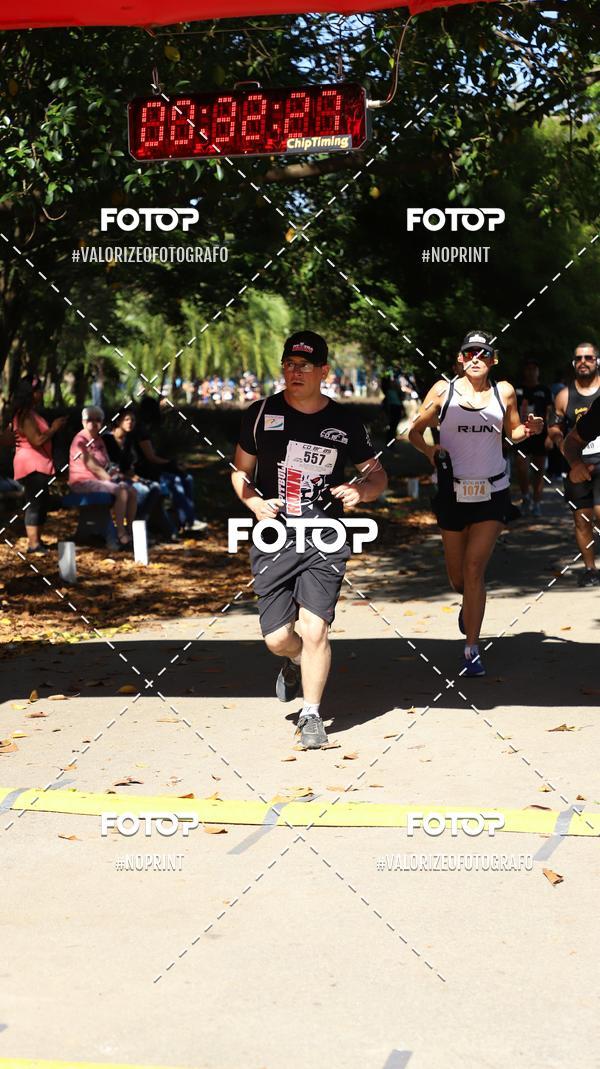 Compra tus fotos del eventoPIT BULL RUNNING En Fotop