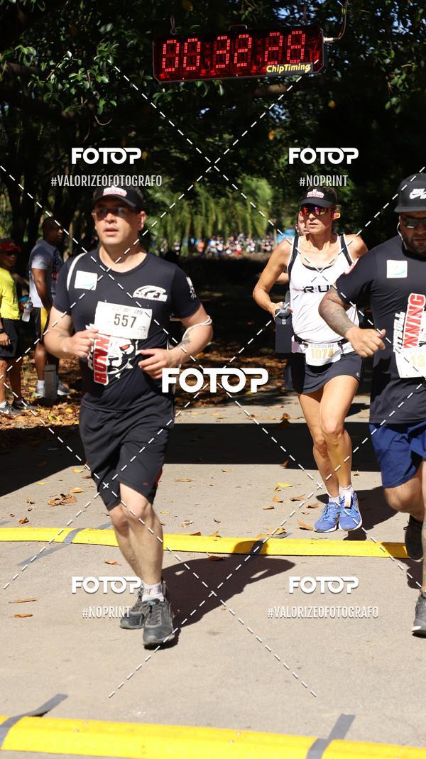 Compra tus fotos del eventoPIT BULL RUNNING En Fotop