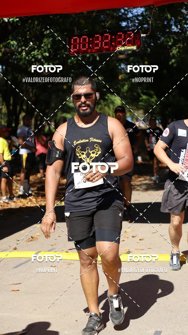 Compra tus fotos del eventoPIT BULL RUNNING En Fotop