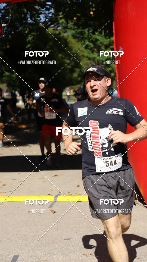 Compra tus fotos del eventoPIT BULL RUNNING En Fotop