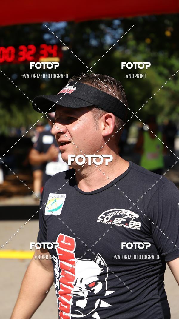 Compra tus fotos del eventoPIT BULL RUNNING En Fotop