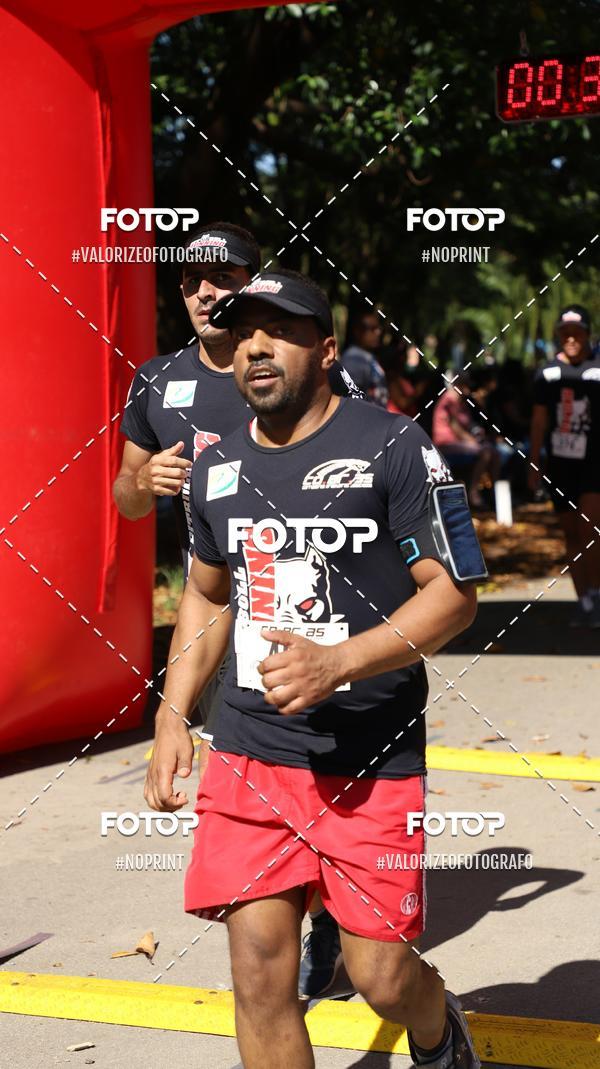 Compra tus fotos del eventoPIT BULL RUNNING En Fotop