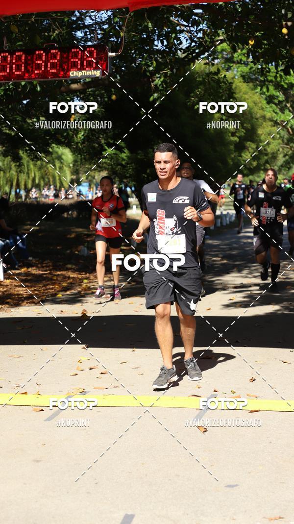 Compra tus fotos del eventoPIT BULL RUNNING En Fotop