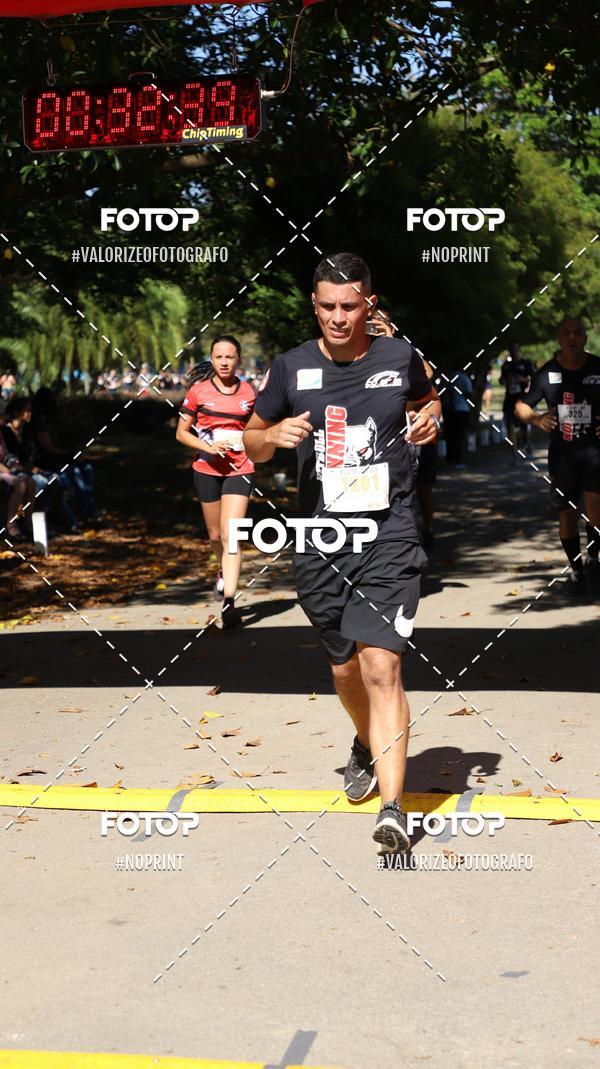 Compra tus fotos del eventoPIT BULL RUNNING En Fotop