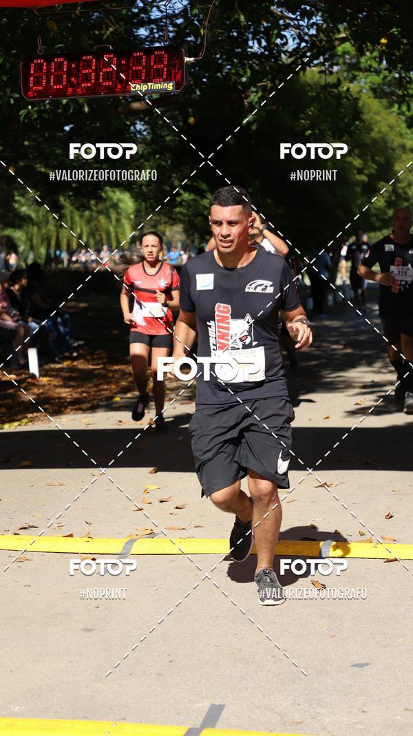 Compra tus fotos del eventoPIT BULL RUNNING En Fotop