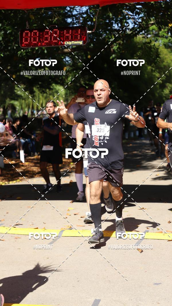 Compra tus fotos del eventoPIT BULL RUNNING En Fotop