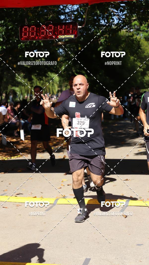 Compra tus fotos del eventoPIT BULL RUNNING En Fotop