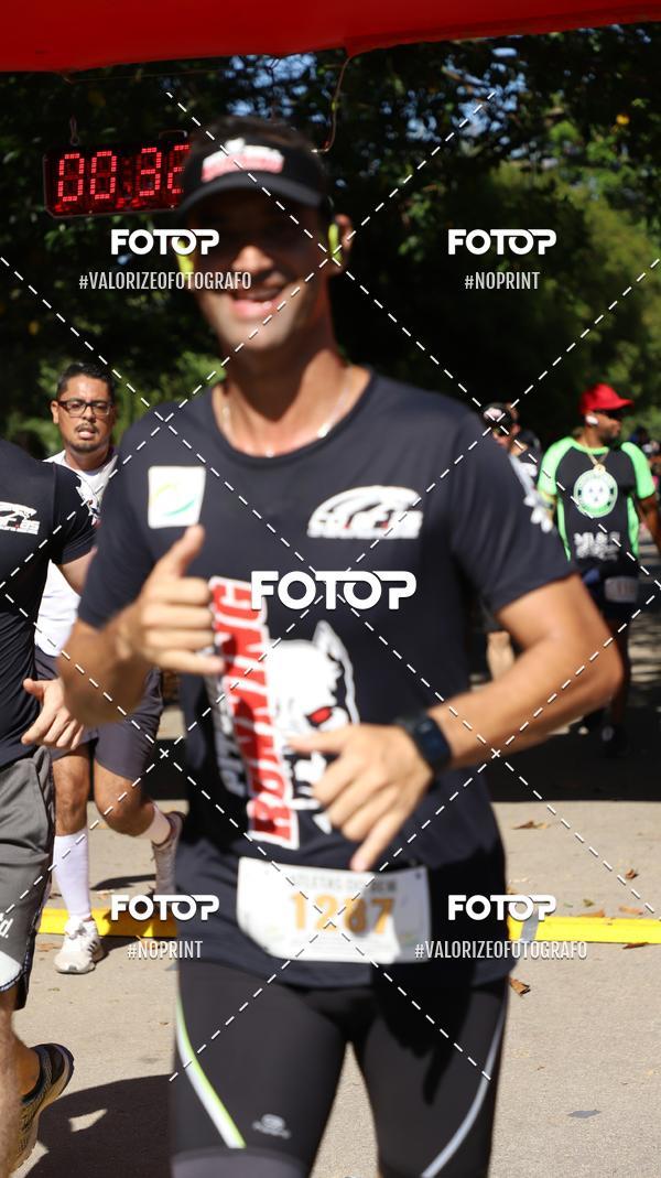 Compra tus fotos del eventoPIT BULL RUNNING En Fotop