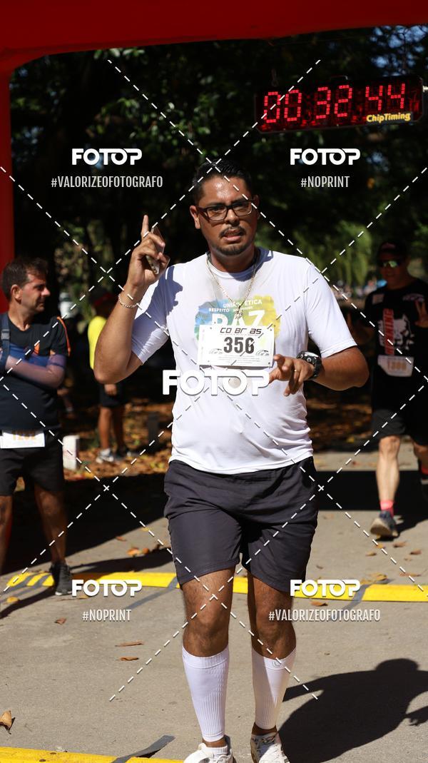 Compra tus fotos del eventoPIT BULL RUNNING En Fotop