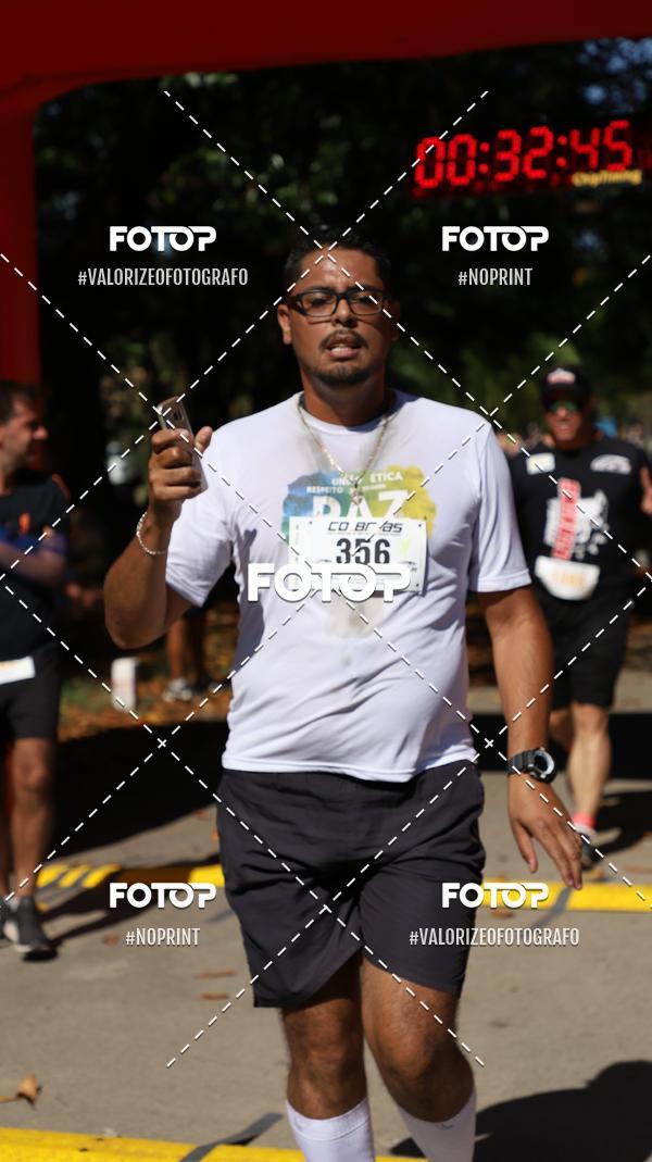 Compra tus fotos del eventoPIT BULL RUNNING En Fotop