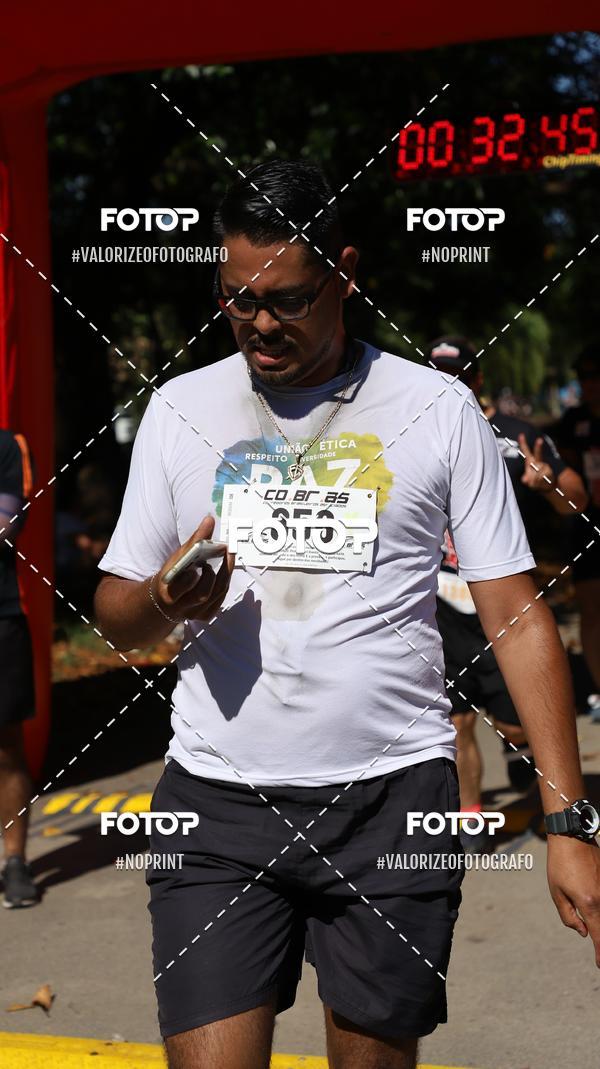 Compra tus fotos del eventoPIT BULL RUNNING En Fotop