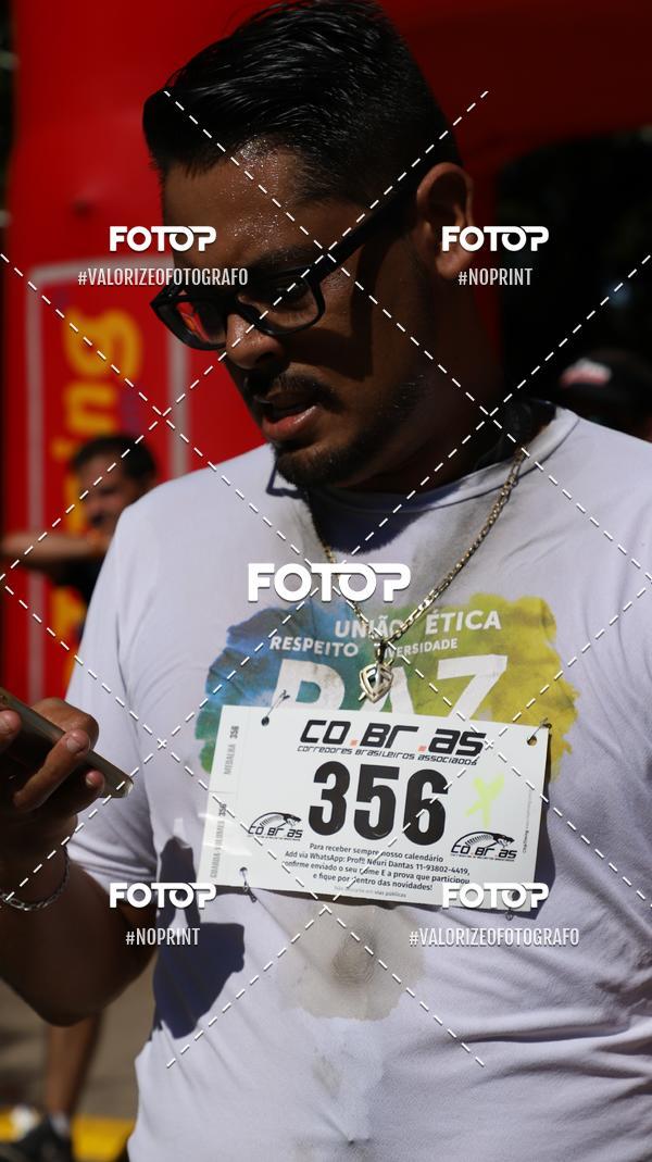 Compra tus fotos del eventoPIT BULL RUNNING En Fotop