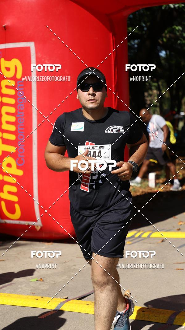 Compra tus fotos del eventoPIT BULL RUNNING En Fotop