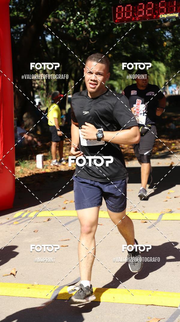 Compra tus fotos del eventoPIT BULL RUNNING En Fotop