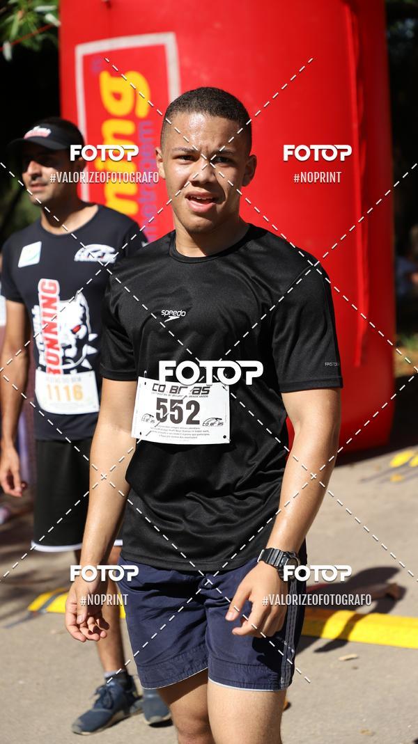 Compra tus fotos del eventoPIT BULL RUNNING En Fotop