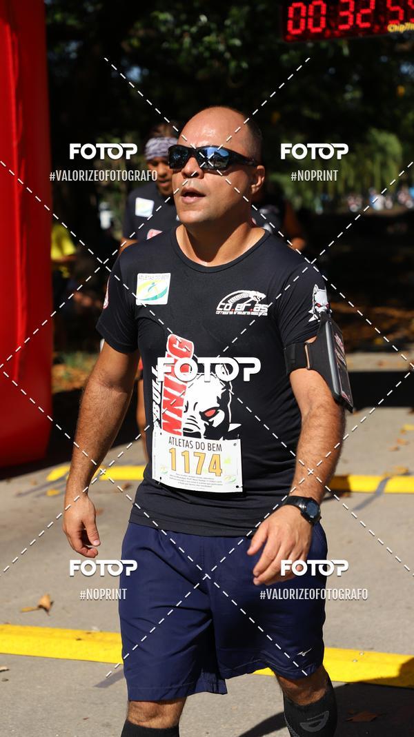 Compra tus fotos del eventoPIT BULL RUNNING En Fotop