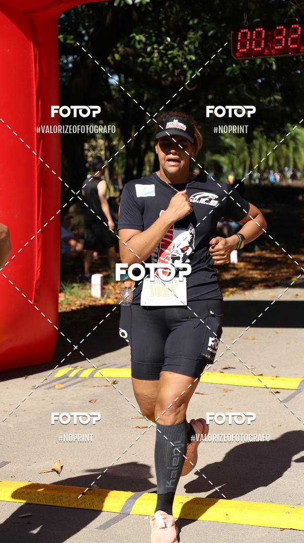 Compra tus fotos del eventoPIT BULL RUNNING En Fotop