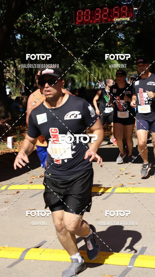 Compra tus fotos del eventoPIT BULL RUNNING En Fotop