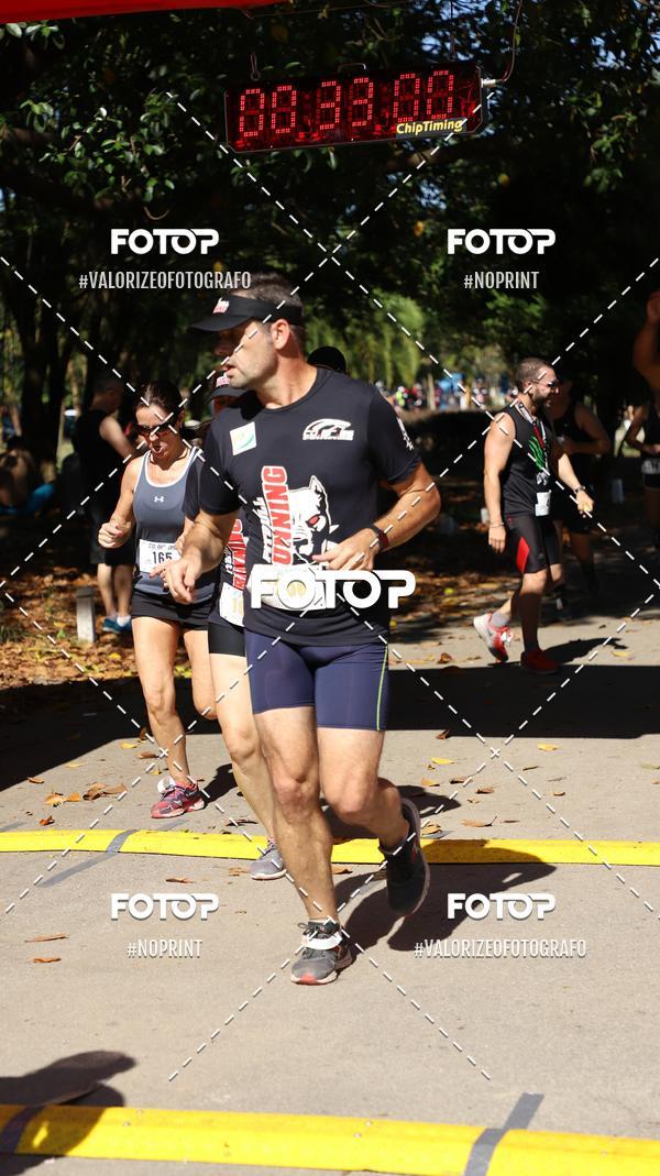 Compra tus fotos del eventoPIT BULL RUNNING En Fotop