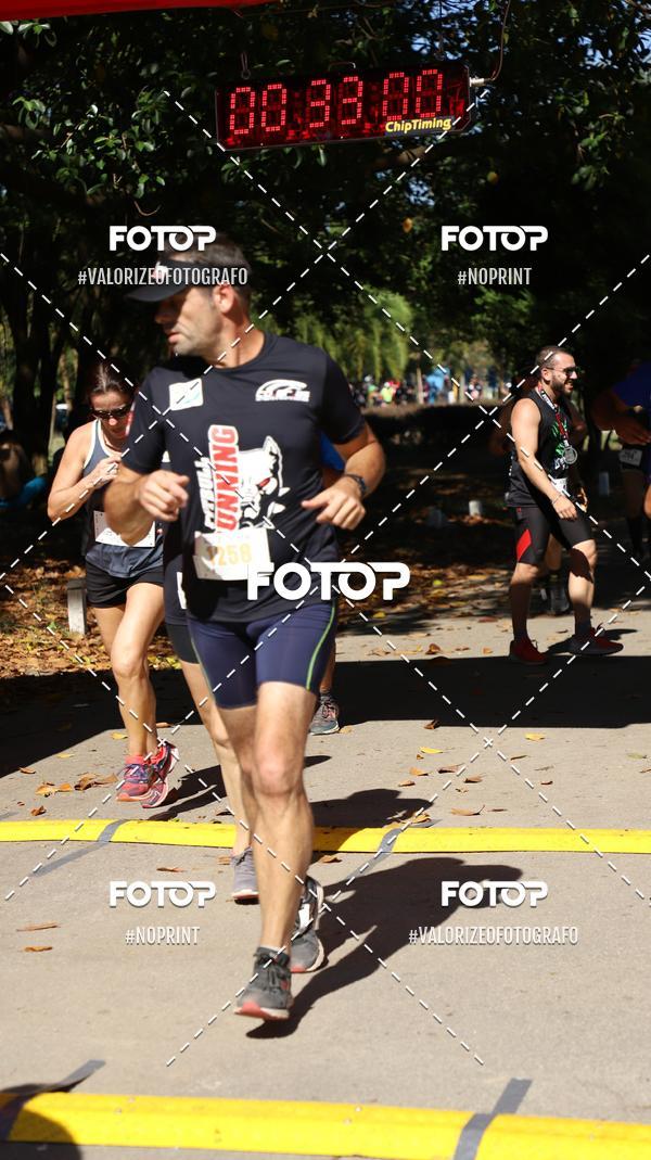 Compra tus fotos del eventoPIT BULL RUNNING En Fotop