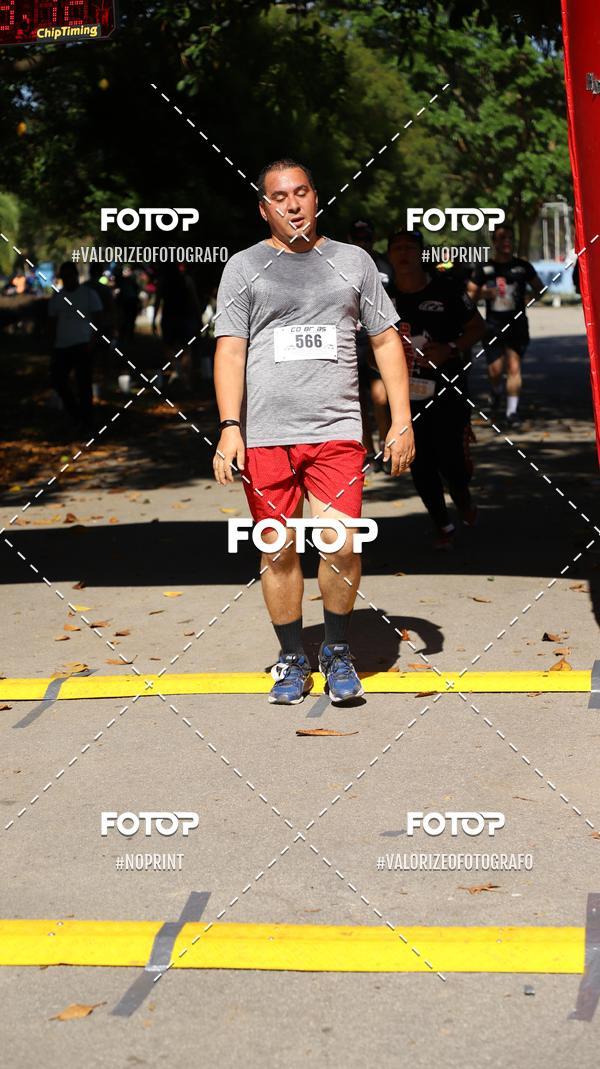 Compra tus fotos del eventoPIT BULL RUNNING En Fotop