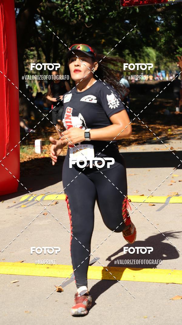 Compra tus fotos del eventoPIT BULL RUNNING En Fotop