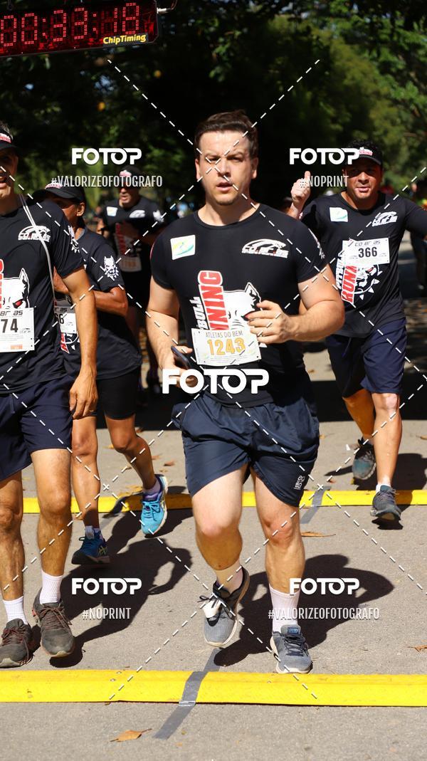 Compra tus fotos del eventoPIT BULL RUNNING En Fotop