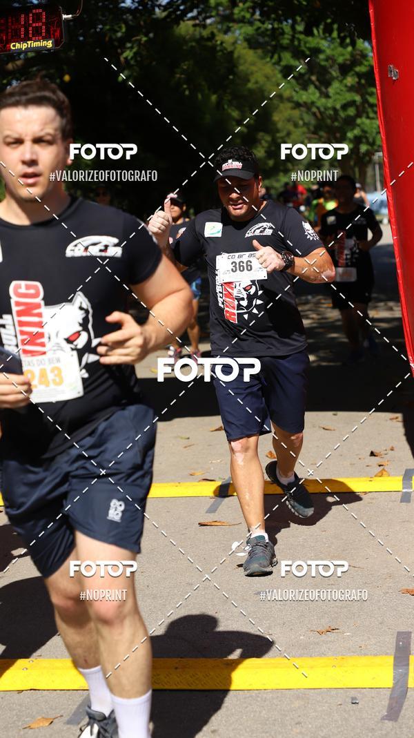 Compra tus fotos del eventoPIT BULL RUNNING En Fotop