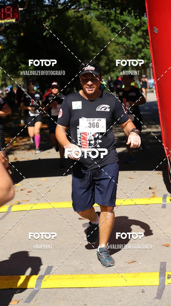 Compra tus fotos del eventoPIT BULL RUNNING En Fotop