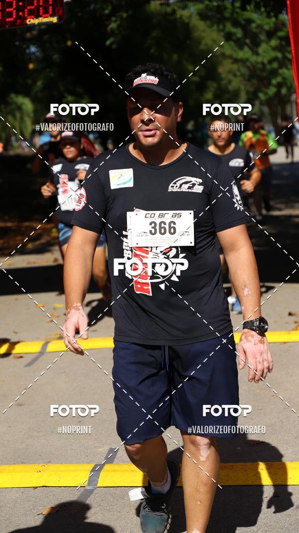 Compra tus fotos del eventoPIT BULL RUNNING En Fotop