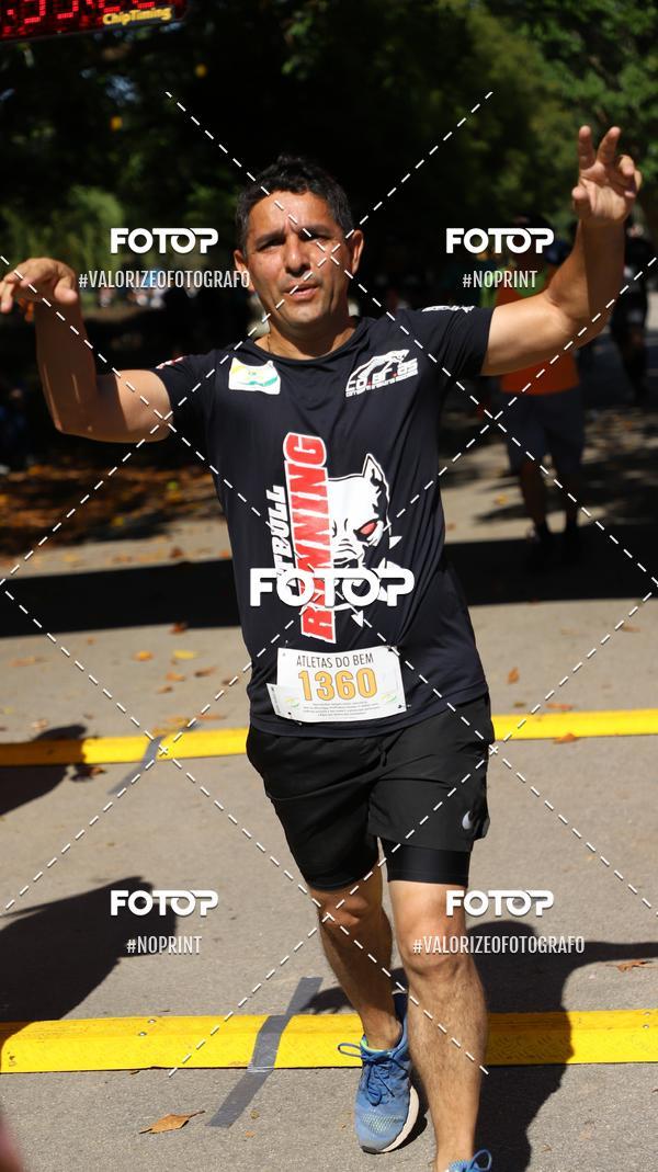 Compra tus fotos del eventoPIT BULL RUNNING En Fotop