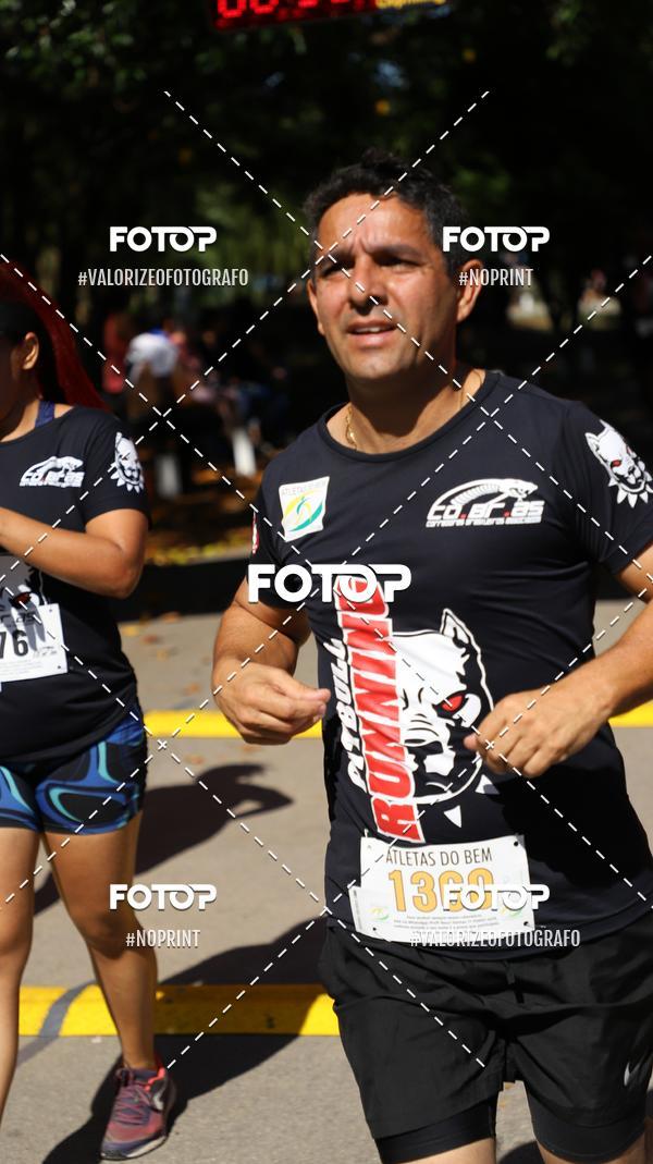 Compra tus fotos del eventoPIT BULL RUNNING En Fotop