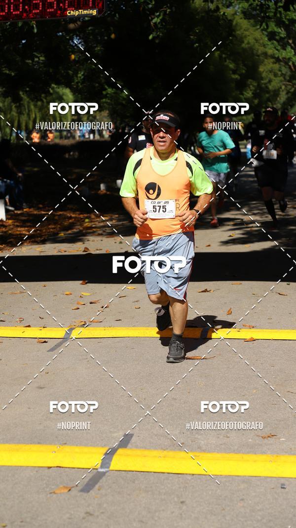 Compra tus fotos del eventoPIT BULL RUNNING En Fotop