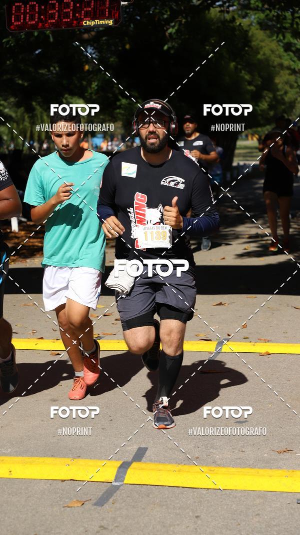 Compra tus fotos del eventoPIT BULL RUNNING En Fotop