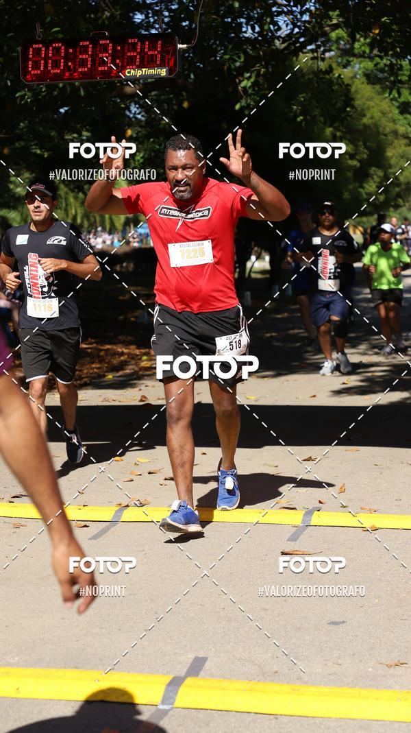 Compra tus fotos del eventoPIT BULL RUNNING En Fotop