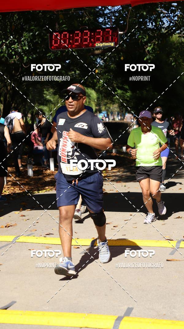 Acquista le foto dell'eventoPIT BULL RUNNING in Fotop