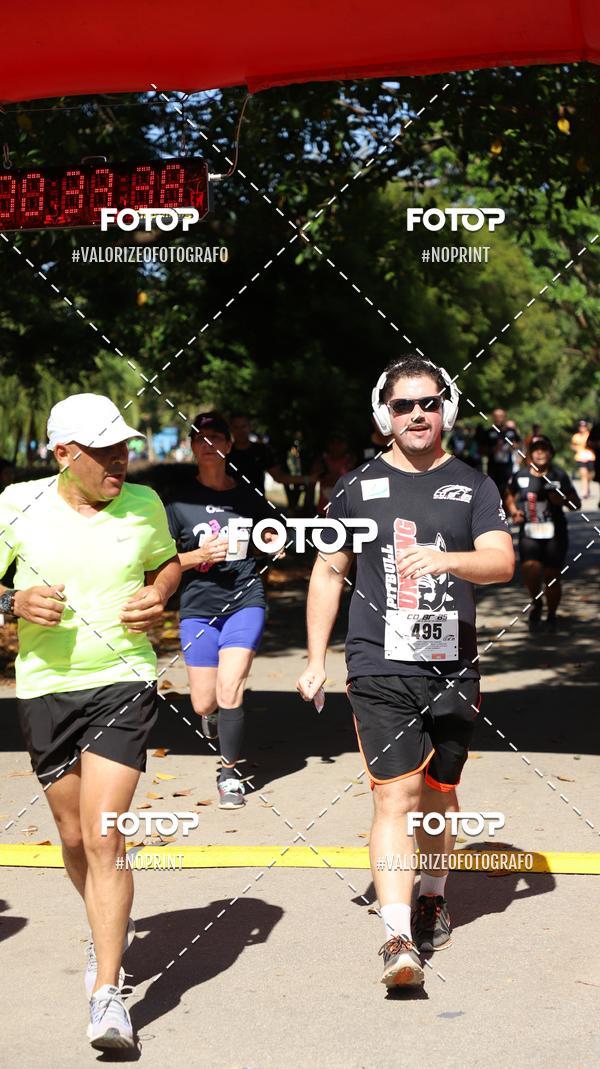 Compra tus fotos del eventoPIT BULL RUNNING En Fotop