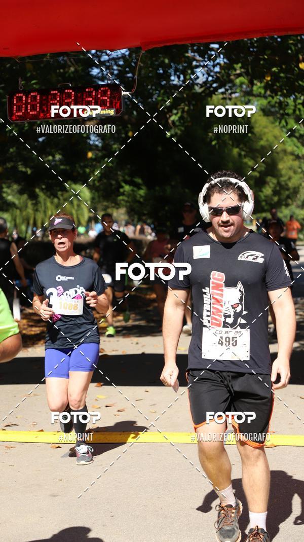 Acquista le foto dell'eventoPIT BULL RUNNING in Fotop