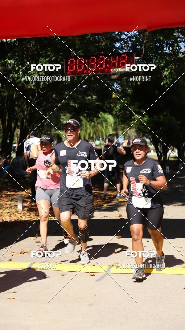 Acquista le foto dell'eventoPIT BULL RUNNING in Fotop