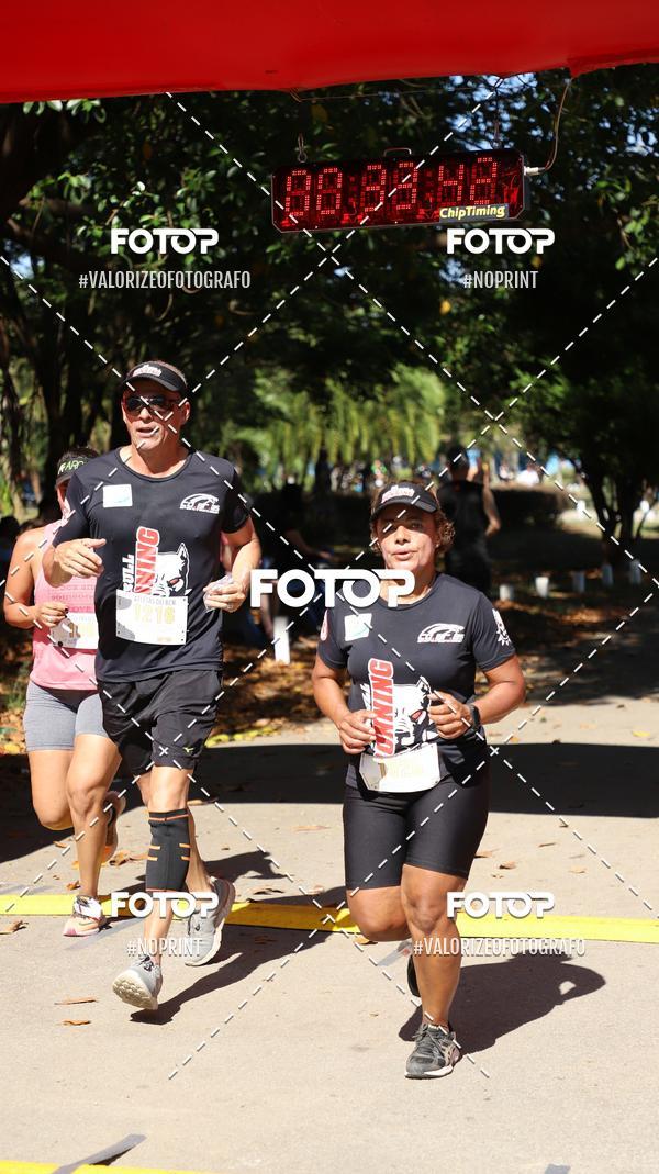 Acquista le foto dell'eventoPIT BULL RUNNING in Fotop