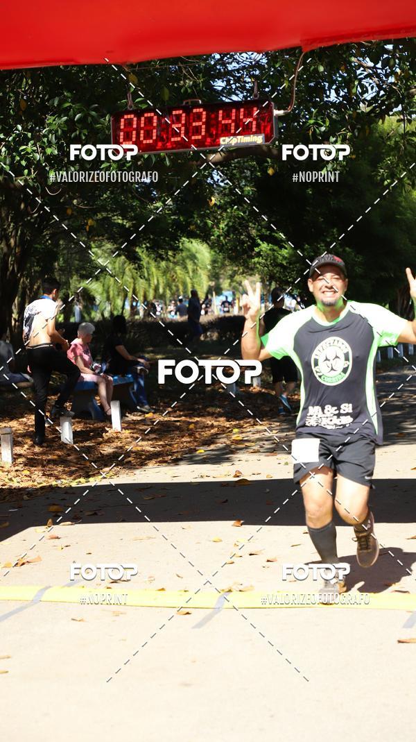 Acquista le foto dell'eventoPIT BULL RUNNING in Fotop