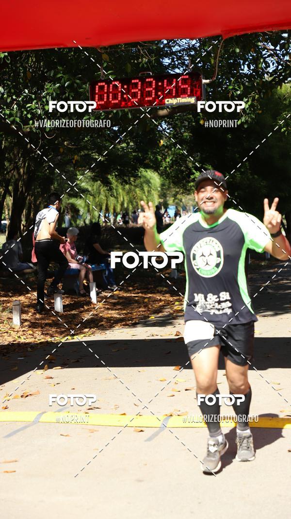 Acquista le foto dell'eventoPIT BULL RUNNING in Fotop