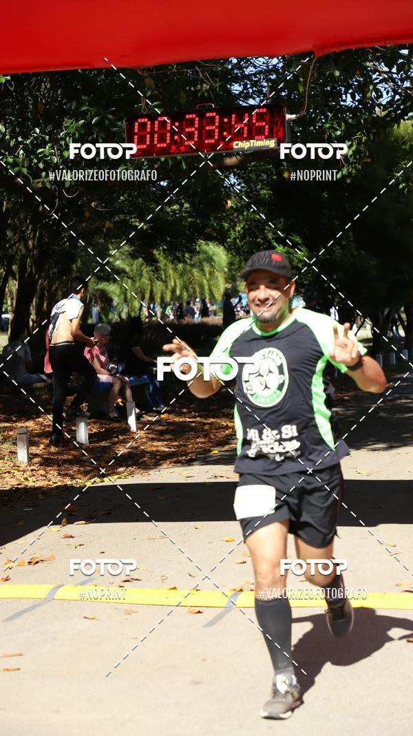 Acquista le foto dell'eventoPIT BULL RUNNING in Fotop