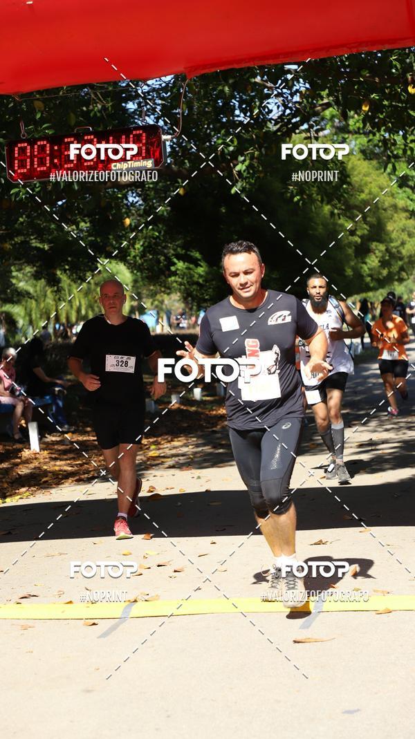Acquista le foto dell'eventoPIT BULL RUNNING in Fotop