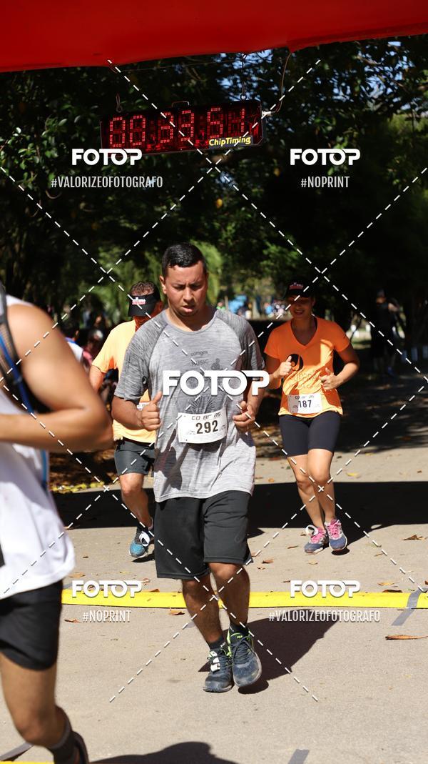 Acquista le foto dell'eventoPIT BULL RUNNING in Fotop