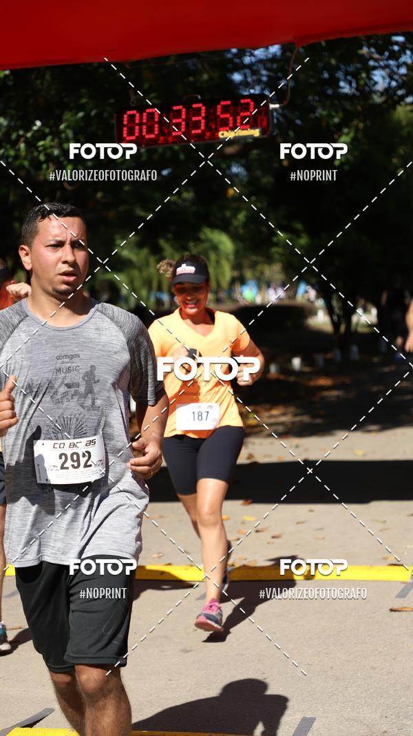 Acquista le foto dell'eventoPIT BULL RUNNING in Fotop