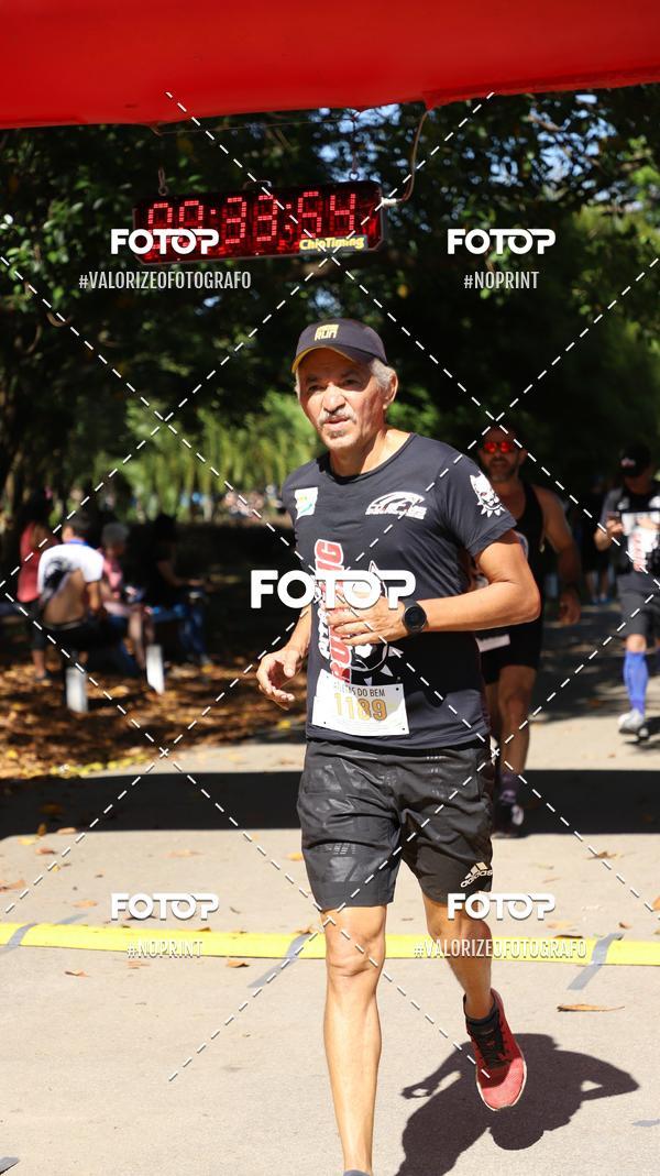 Acquista le foto dell'eventoPIT BULL RUNNING in Fotop