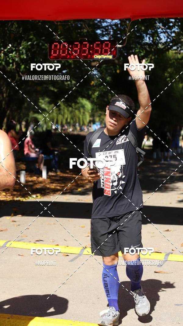 Acquista le foto dell'eventoPIT BULL RUNNING in Fotop